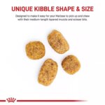 Royal Canin? Breed Health Nutrition Maltese Adult Dog Dry Food - Image 4