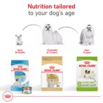 Royal Canin? Breed Health Nutrition Maltese Adult Dog Dry Food - Image 6