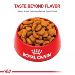 Royal Canin? Breed Health Nutrition Rottweiler Breed Specific Adult Dog Dry Food - 30 lb - Image 2