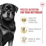 Royal Canin? Breed Health Nutrition Rottweiler Breed Specific Adult Dog Dry Food - 30 lb - Image 3