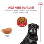 Royal Canin? Breed Health Nutrition Rottweiler Breed Specific Adult Dog Dry Food - 30 lb - Image 4