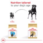 Royal Canin? Breed Health Nutrition Rottweiler Breed Specific Adult Dog Dry Food - 30 lb - Image 7