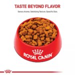 Royal Canin? Breed Health Nutrition? Boxer Breed Specific Adult Dog Dry Food - Image 2