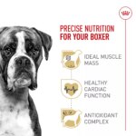 Royal Canin? Breed Health Nutrition? Boxer Breed Specific Adult Dog Dry Food - Image 3