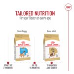 Royal Canin? Breed Health Nutrition? Boxer Breed Specific Adult Dog Dry Food - Image 7