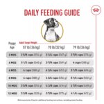 Royal Canin? Breed Health Nutrition? Boxer Breed Specific Puppy Dog Dry Food - 30 lb - Image 10