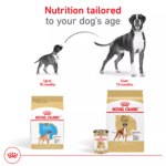 Royal Canin? Breed Health Nutrition? Boxer Breed Specific Puppy Dog Dry Food - 30 lb - Image 7