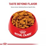 Royal Canin? Breed Health Nutrition? Bulldog Breed Specific Adult Dog Dry Food - Image 2