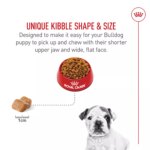 Royal Canin? Breed Health Nutrition? Bulldog Breed Specific Puppy Dog Dry Food - 30 lb - Image 4