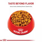 Royal Canin? Breed Health Nutrition? Dachshund Breed Specific Adult Dog Dry Food - Image 2