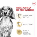 Royal Canin? Breed Health Nutrition? Dachshund Breed Specific Adult Dog Dry Food - Image 3