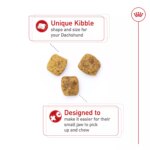 Royal Canin? Breed Health Nutrition? Dachshund Breed Specific Adult Dog Dry Food - Image 5