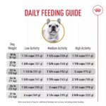 Royal Canin? Breed Health Nutrition? French Bulldog Adult Dog Dry Food - Image 2