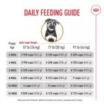 Royal Canin? Breed Health Nutrition? German Shepherd Puppy Dog Dry Food - Image 10