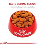 Royal Canin? Breed Health Nutrition? Golden Retriever Adult Dog Dry Food - Image 2
