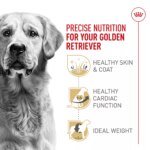 Royal Canin? Breed Health Nutrition? Golden Retriever Adult Dog Dry Food - Image 3