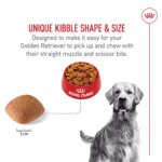 Royal Canin? Breed Health Nutrition? Golden Retriever Adult Dog Dry Food - Image 4