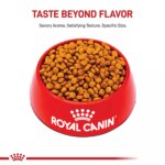 Royal Canin? Breed Health Nutrition? Golden Retriever Puppy Dog Dry Food - Image 2