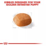 Royal Canin? Breed Health Nutrition? Golden Retriever Puppy Dog Dry Food - Image 4