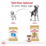 Royal Canin? Breed Health Nutrition? Golden Retriever Puppy Dog Dry Food - Image 6