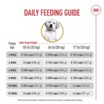 Royal Canin? Breed Health Nutrition? Golden Retriever Puppy Dog Dry Food - Image 9