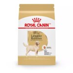 Royal Canin? Breed Health Nutrition? Labrador Retriever Adult Dog Dry Food