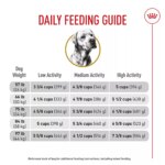 Royal Canin? Breed Health Nutrition? Labrador Retriever Adult Dog Dry Food - Image 10