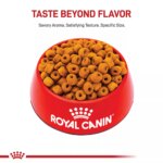 Royal Canin? Breed Health Nutrition? Labrador Retriever Adult Dog Dry Food - Image 2