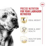 Royal Canin? Breed Health Nutrition? Labrador Retriever Adult Dog Dry Food - Image 3