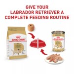 Royal Canin? Breed Health Nutrition? Labrador Retriever Adult Dog Dry Food - Image 6