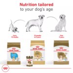 Royal Canin? Breed Health Nutrition? Labrador Retriever Adult Dog Dry Food - Image 7