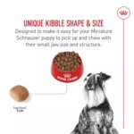 Royal Canin? Breed Health Nutrition? Miniature Schnauzer Breed Specific Adult Dog Dry Food - 10 lb - Image 3
