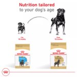 Royal Canin? Breed Health Nutrition? Rottweiler Breed Specific Puppy Dog Dry Food - 30 lb - Image 6