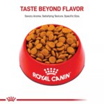 Royal Canin? Canine Care Nutrition Digestive Care Medium Breed Adult Dog Dry Food - Image 2