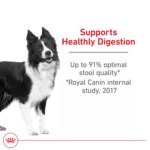 Royal Canin? Canine Care Nutrition Digestive Care Medium Breed Adult Dog Dry Food - Image 3