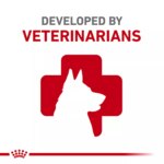 Royal Canin? Canine Care Nutrition Digestive Care Medium Breed Adult Dog Dry Food - Image 5