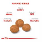 Royal Canin? Size Health Nutrition X-Small Breed Adult Dog Dry Food - Image 3