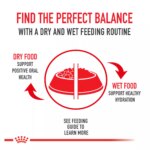 Royal Canin? Size Health Nutrition X-Small Breed Adult Dog Dry Food - Image 7