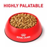 Royal Canin? Veterinary Diet Canine Urinary SO Small Breed Adult Dog Dry Food - 8.8 lb - Image 3