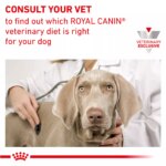 Royal Canin? Veterinary Diet Canine Urinary SO Small Breed Adult Dog Dry Food - 8.8 lb - Image 9