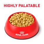 Royal Canin? Veterinary Diet Hydrolyzed Protein HP Adult Dog Dry Food - Image 3