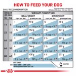 Royal Canin? Veterinary Diet Hydrolyzed Protein HP Adult Dog Dry Food - Image 6