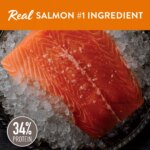 Simply Nourish Source Adult - High Protein, Salmon & Grain - Image 2