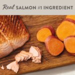 Simply Nourish? Limited Ingredient Diet Senior Dry Dog Food - Salmon & Sweet Potato - Image 3