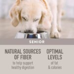 Simply Nourish? Limited Ingredient Diet Senior Dry Dog Food - Salmon & Sweet Potato - Image 4