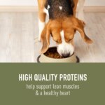Simply Nourish? Original Adult Dry Dog Food - Chicken, Pea & Potato - Image 3