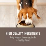 Simply Nourish? Original Adult Dry Dog Food - Lamb & Oatmeal - Image 4