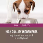 Simply Nourish? Original Small Breed Adult Dry Dog Food - Lamb & Brown Rice - Image 4