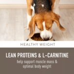 Simply Nourish? Original Weight Management Adult Dry Dog Food - Turkey & Brown Rice - Image 4