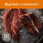 Simply Nourish? Source Adult Dry Dog Food - Beef - Image 2